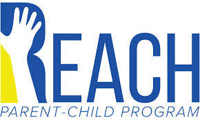 REACH或其他法規提交物的理化性質測試